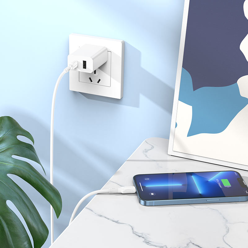 Cable Borofone BX80 con soporte para carga rápida PD20W y diseño resistente.